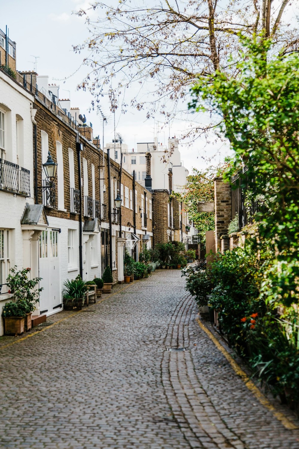Cobbled mews in Kensington lined with white and brick houses and plants